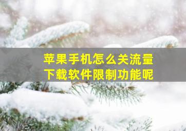 苹果手机怎么关流量下载软件限制功能呢