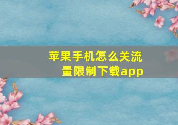 苹果手机怎么关流量限制下载app