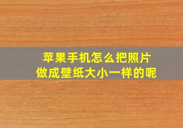 苹果手机怎么把照片做成壁纸大小一样的呢