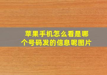 苹果手机怎么看是哪个号码发的信息呢图片