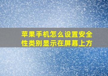 苹果手机怎么设置安全性类别显示在屏幕上方