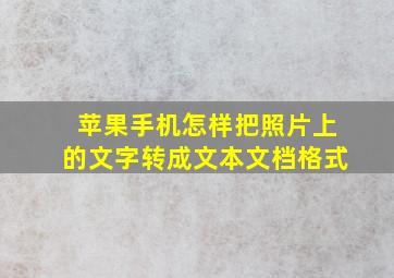 苹果手机怎样把照片上的文字转成文本文档格式