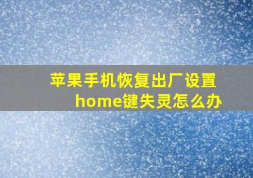 苹果手机恢复出厂设置home键失灵怎么办