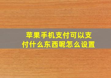 苹果手机支付可以支付什么东西呢怎么设置