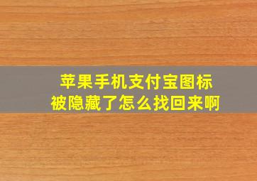 苹果手机支付宝图标被隐藏了怎么找回来啊