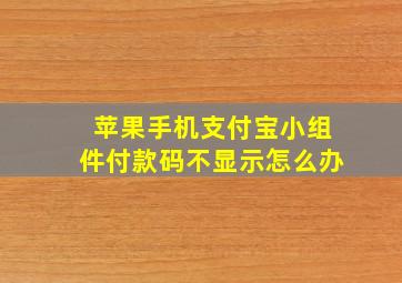 苹果手机支付宝小组件付款码不显示怎么办