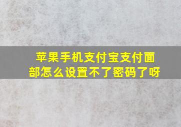 苹果手机支付宝支付面部怎么设置不了密码了呀