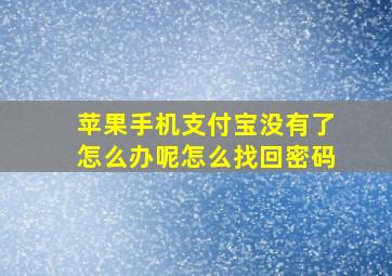 苹果手机支付宝没有了怎么办呢怎么找回密码