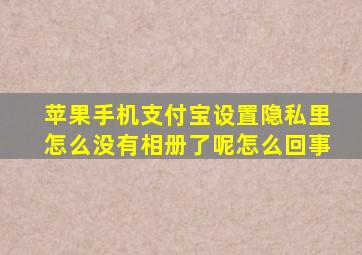 苹果手机支付宝设置隐私里怎么没有相册了呢怎么回事