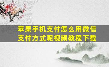 苹果手机支付怎么用微信支付方式呢视频教程下载