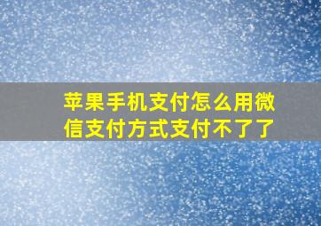 苹果手机支付怎么用微信支付方式支付不了了