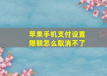 苹果手机支付设置限额怎么取消不了