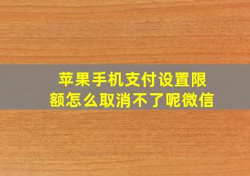 苹果手机支付设置限额怎么取消不了呢微信