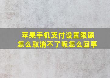 苹果手机支付设置限额怎么取消不了呢怎么回事