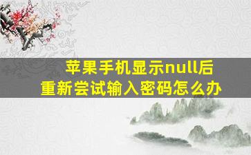 苹果手机显示null后重新尝试输入密码怎么办