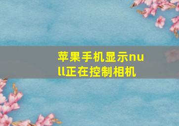 苹果手机显示null正在控制相机