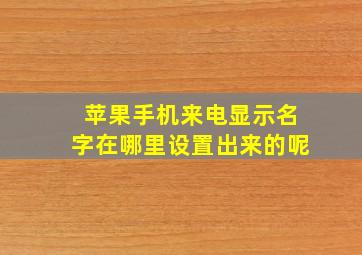 苹果手机来电显示名字在哪里设置出来的呢