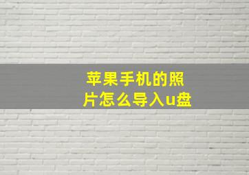 苹果手机的照片怎么导入u盘