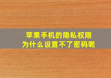 苹果手机的隐私权限为什么设置不了密码呢