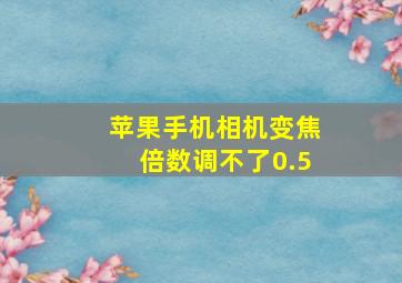 苹果手机相机变焦倍数调不了0.5