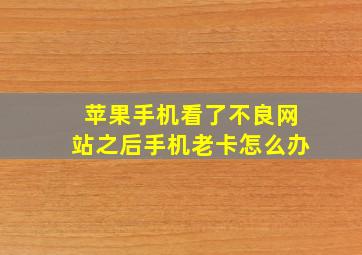 苹果手机看了不良网站之后手机老卡怎么办