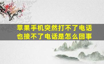 苹果手机突然打不了电话也接不了电话是怎么回事