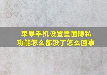 苹果手机设置里面隐私功能怎么都没了怎么回事