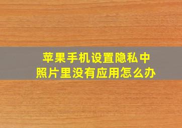 苹果手机设置隐私中照片里没有应用怎么办