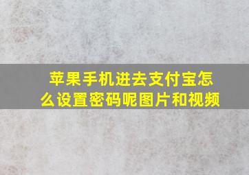 苹果手机进去支付宝怎么设置密码呢图片和视频