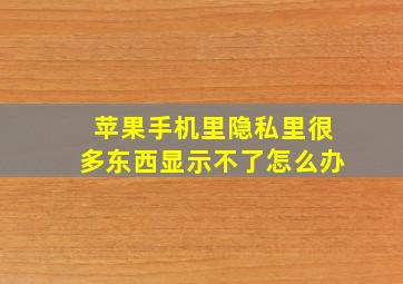 苹果手机里隐私里很多东西显示不了怎么办