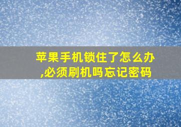 苹果手机锁住了怎么办,必须刷机吗忘记密码