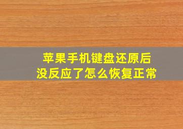 苹果手机键盘还原后没反应了怎么恢复正常