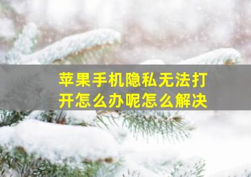 苹果手机隐私无法打开怎么办呢怎么解决