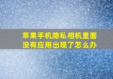 苹果手机隐私相机里面没有应用出现了怎么办