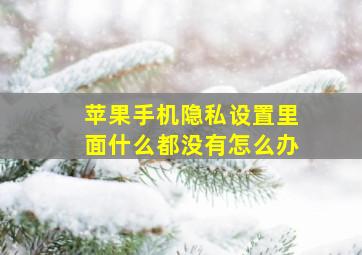 苹果手机隐私设置里面什么都没有怎么办