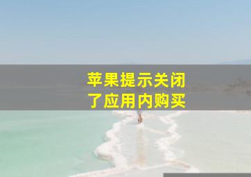 苹果提示关闭了应用内购买