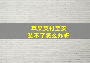 苹果支付宝安装不了怎么办呀