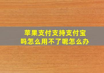 苹果支付支持支付宝吗怎么用不了呢怎么办