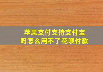 苹果支付支持支付宝吗怎么用不了花呗付款