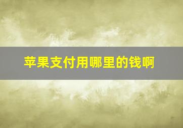 苹果支付用哪里的钱啊