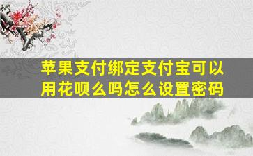 苹果支付绑定支付宝可以用花呗么吗怎么设置密码