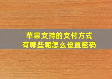 苹果支持的支付方式有哪些呢怎么设置密码