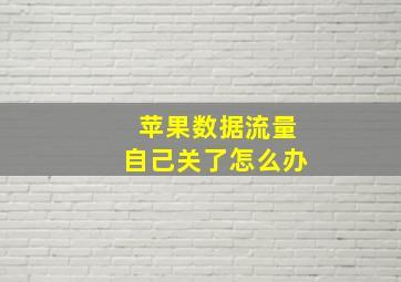 苹果数据流量自己关了怎么办