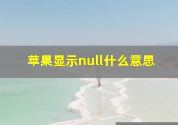 苹果显示null什么意思