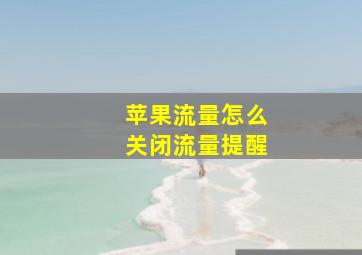 苹果流量怎么关闭流量提醒