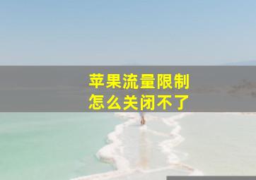 苹果流量限制怎么关闭不了