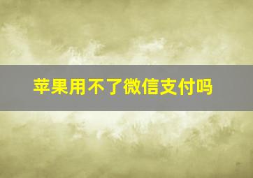 苹果用不了微信支付吗