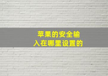 苹果的安全输入在哪里设置的