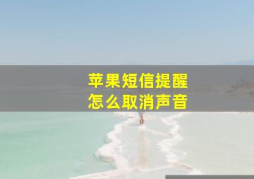 苹果短信提醒怎么取消声音