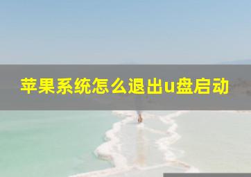 苹果系统怎么退出u盘启动